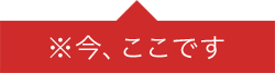 今、ここです